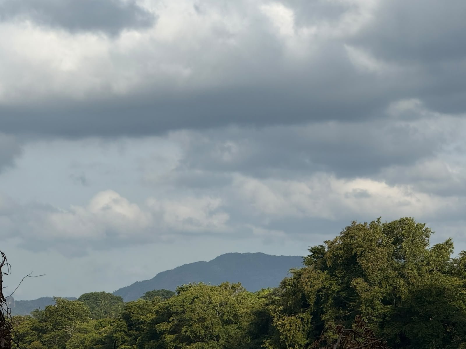 Bansri Nature’s Lake View - Dambulla Gallery photo 13